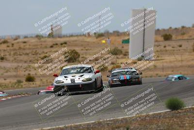 media/May-03-2025-Lucky Dog Racing (Sat) [[206de64b9d]]/Turn 6 (150pm-230pm)/